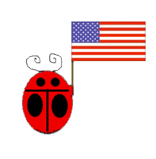 Flag bug