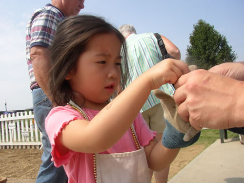 State Fair - Little Hands on the Farm Exhibit